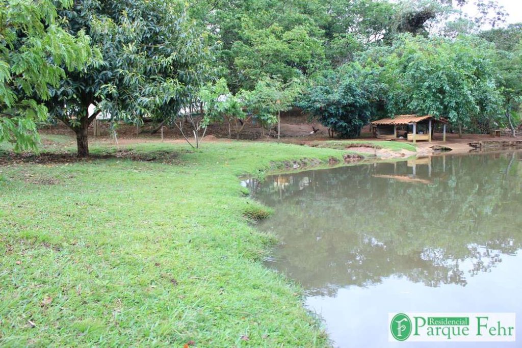 Gramado e lago interno do Parque Fehr com abrigo e árvores
